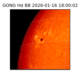 gong - 2026-01-16T18:00:02