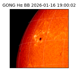 gong - 2026-01-16T19:00:02