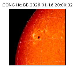 gong - 2026-01-16T20:00:02