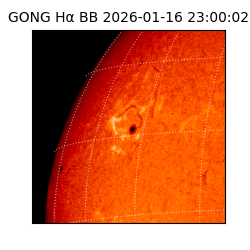gong - 2026-01-16T23:00:02