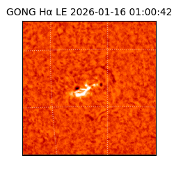gong - 2026-01-16T01:00:42