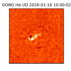 gong - 2026-01-16T10:00:02