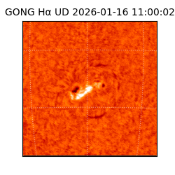gong - 2026-01-16T11:00:02
