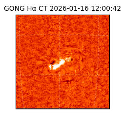 gong - 2026-01-16T12:00:42