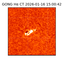 gong - 2026-01-16T15:00:42