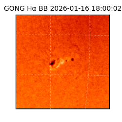 gong - 2026-01-16T18:00:02