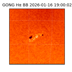 gong - 2026-01-16T19:00:02