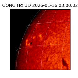 gong - 2026-01-16T03:00:02