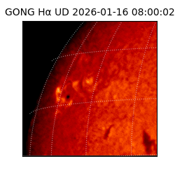 gong - 2026-01-16T08:00:02