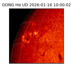 gong - 2026-01-16T10:00:02