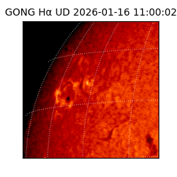 gong - 2026-01-16T11:00:02