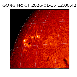 gong - 2026-01-16T12:00:42