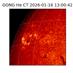 gong - 2026-01-16T13:00:42
