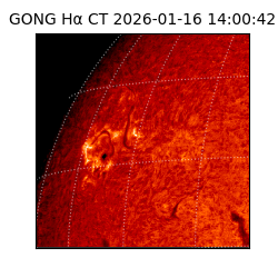 gong - 2026-01-16T14:00:42