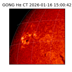 gong - 2026-01-16T15:00:42