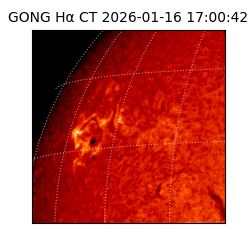 gong - 2026-01-16T17:00:42