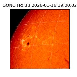 gong - 2026-01-16T19:00:02