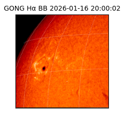 gong - 2026-01-16T20:00:02
