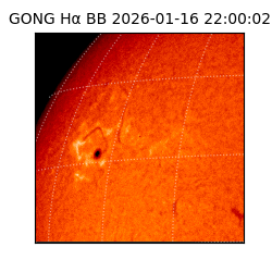 gong - 2026-01-16T22:00:02