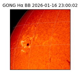 gong - 2026-01-16T23:00:02