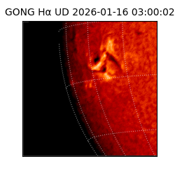gong - 2026-01-16T03:00:02