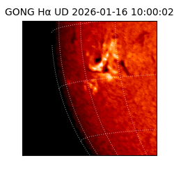 gong - 2026-01-16T10:00:02