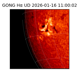 gong - 2026-01-16T11:00:02