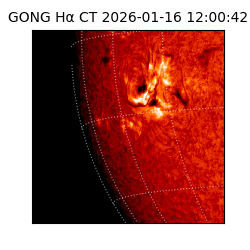gong - 2026-01-16T12:00:42