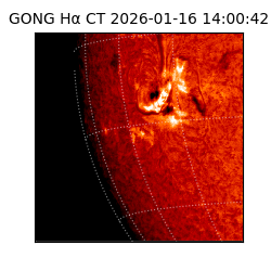 gong - 2026-01-16T14:00:42