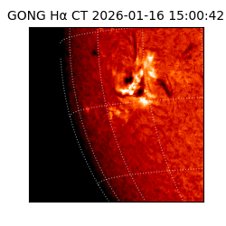 gong - 2026-01-16T15:00:42