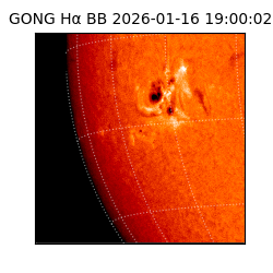 gong - 2026-01-16T19:00:02