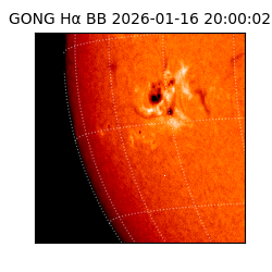 gong - 2026-01-16T20:00:02