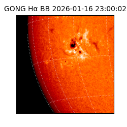 gong - 2026-01-16T23:00:02