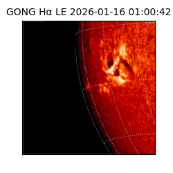 gong - 2026-01-16T01:00:42