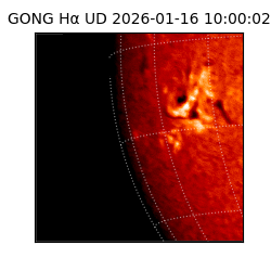 gong - 2026-01-16T10:00:02
