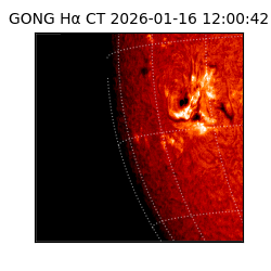 gong - 2026-01-16T12:00:42