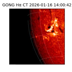 gong - 2026-01-16T14:00:42