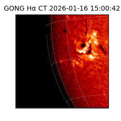 gong - 2026-01-16T15:00:42