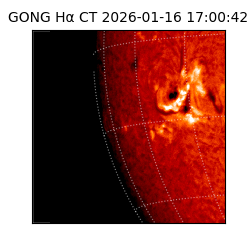 gong - 2026-01-16T17:00:42