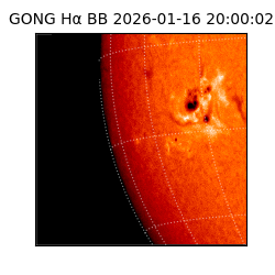 gong - 2026-01-16T20:00:02