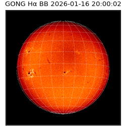 gong - 2026-01-16T20:00:02