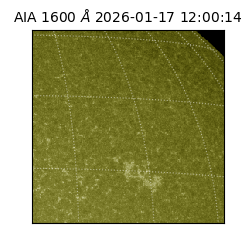 saia - 2026-01-17T12:00:14.131000