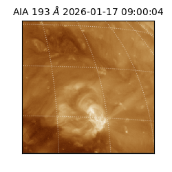 saia - 2026-01-17T09:00:04.843000