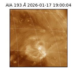 saia - 2026-01-17T19:00:04.835000