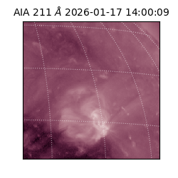 saia - 2026-01-17T14:00:09.622000