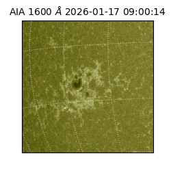 saia - 2026-01-17T09:00:14.126000