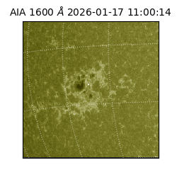saia - 2026-01-17T11:00:14.124000