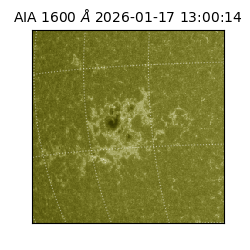 saia - 2026-01-17T13:00:14.131000