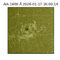 saia - 2026-01-17T16:00:14.125000