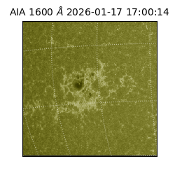 saia - 2026-01-17T17:00:14.129000